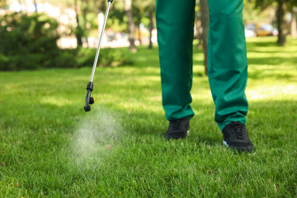  North Scituate, MA Pest Control Pros