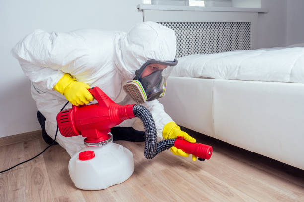 Trusted North Scituate, MA Pest Control Experts