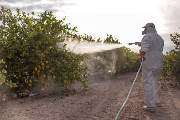 Best Ant Control Services  in North Scituate, MA